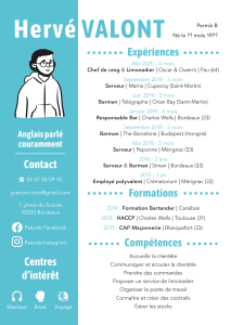Modèle de CV, bleu et blanc